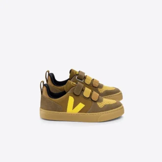 V-10 Ruskind Multico Camel