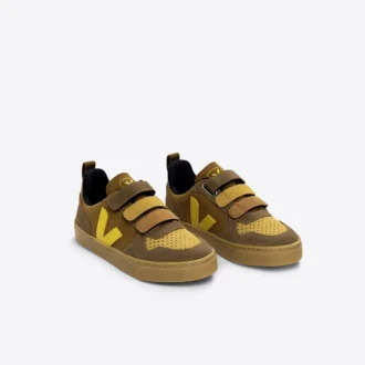 V-10 Ruskind Multico Camel